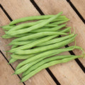 Accelerate, Bean Seeds