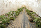 Agribon Row Covers, Row Covers
