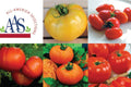 All American Selection Collection, Tomato Seeds