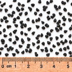 Nodding Onion, Allium Seed