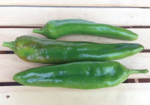 Anaheim Chili, Pepper Seeds