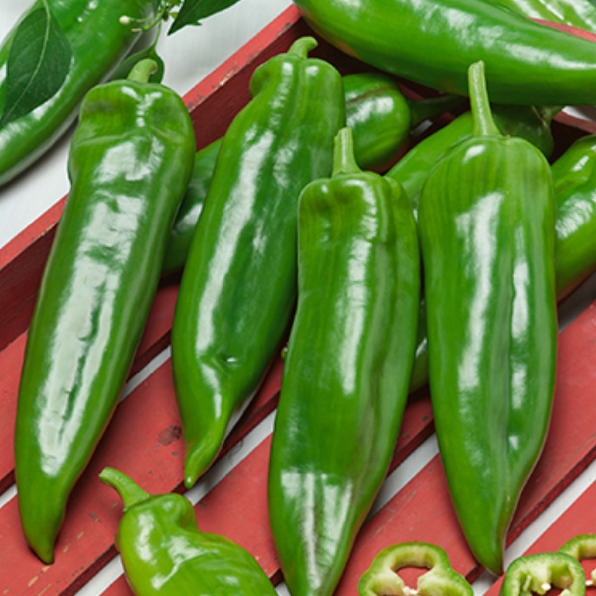 Anaheim Chili, Organic Pepper Seeds