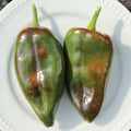 Ancho, Pepper Seeds