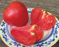 Anna Russian, Tomato Seeds