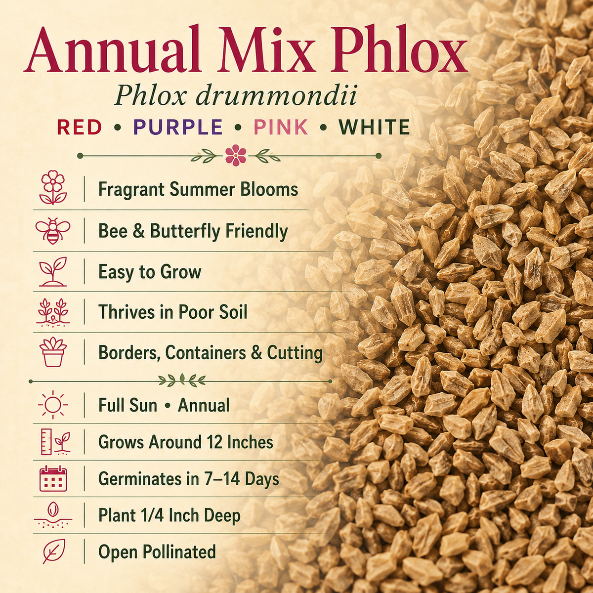 Annual Mix Phlox growing attributes