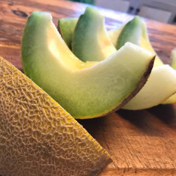 Arava, (F1) Organic Melon Seeds
