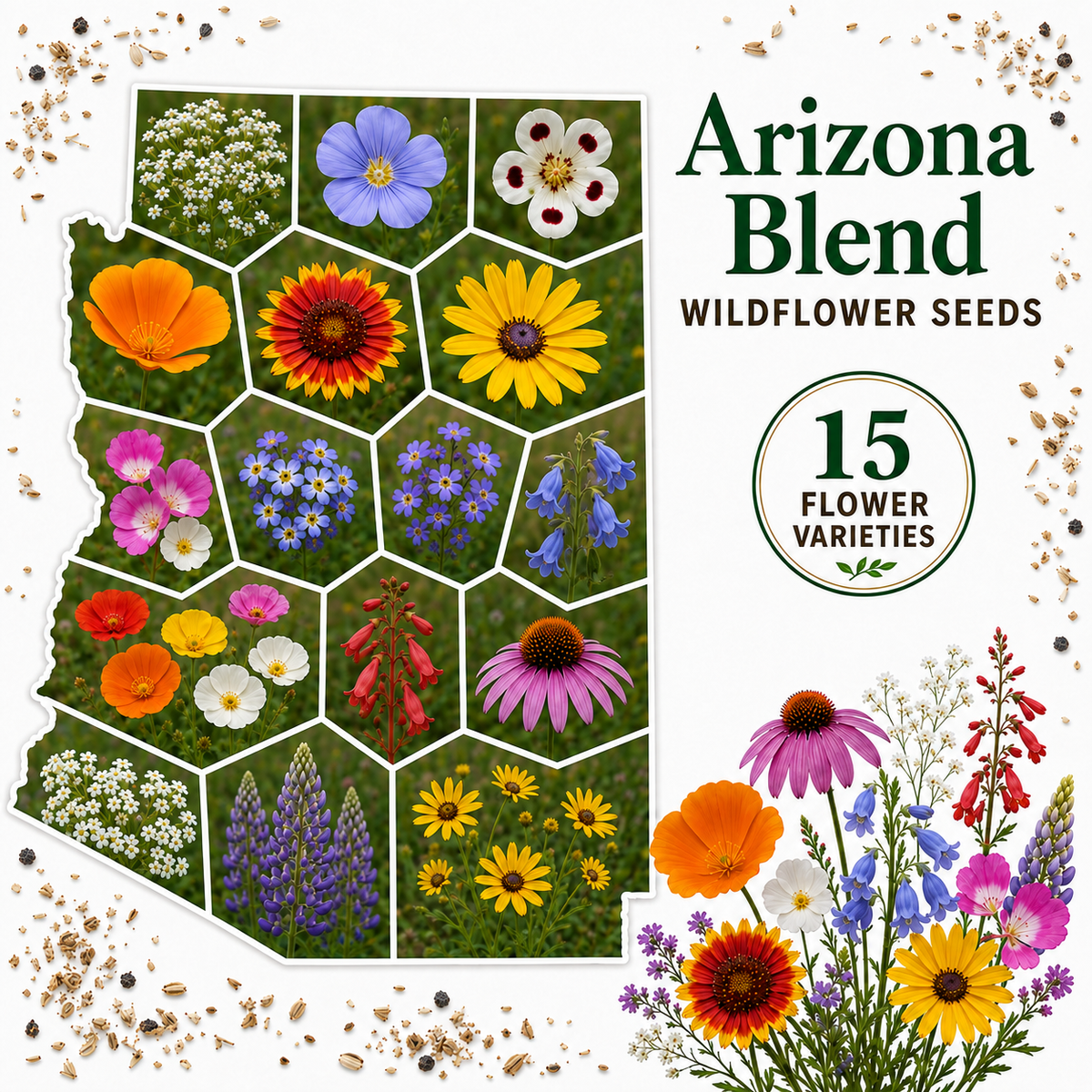 Arizona Blend, Wildflower Seed