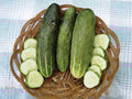 Ashley, Cucumber Seeds