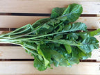 Astro Arugula, Green Seeds
