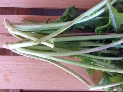 Astro Arugula, Green Seeds