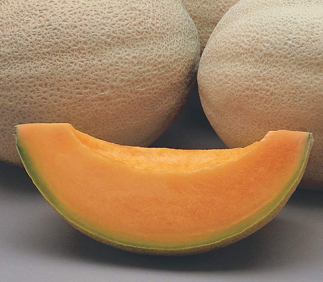 Athena, (F1) Melon Seeds