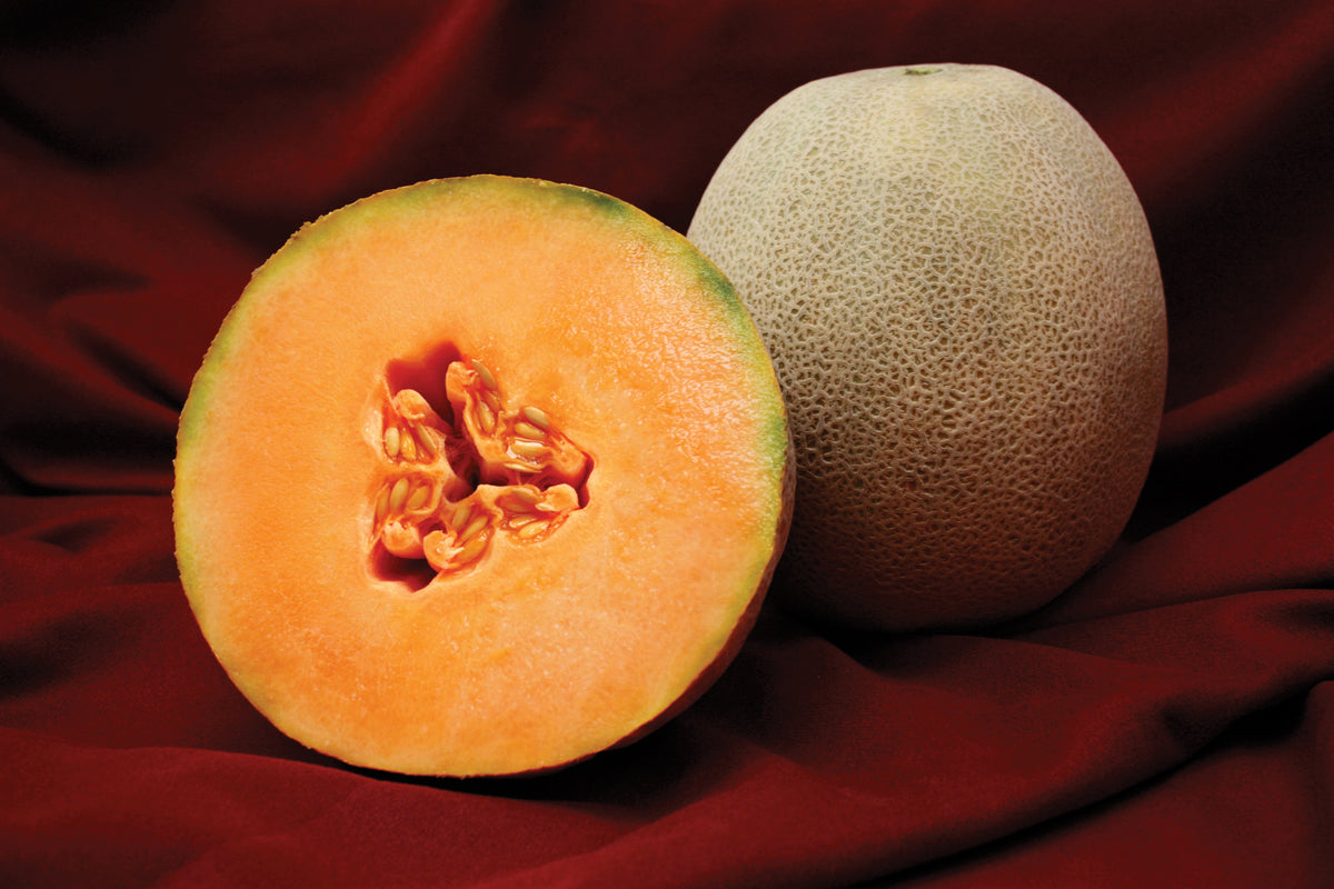 Avatar, (F1) Melon Seeds