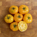 Azoychka, Tomato Seeds