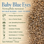 Baby Blue Eyes Nemophila growing attributes