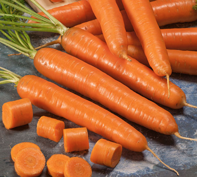 Bambino, Carrot Seeds