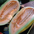 Banana, Melon Seeds