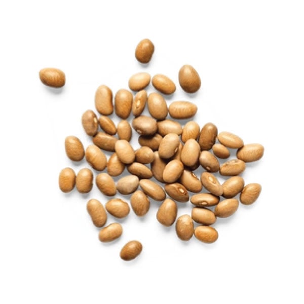 Bayo, Bean Seeds