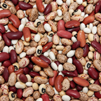 Soup Blend, Bean Seeds