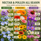 Bee Feed Blend Bloom Chart