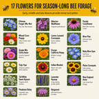 Bee Feed Flower Chart