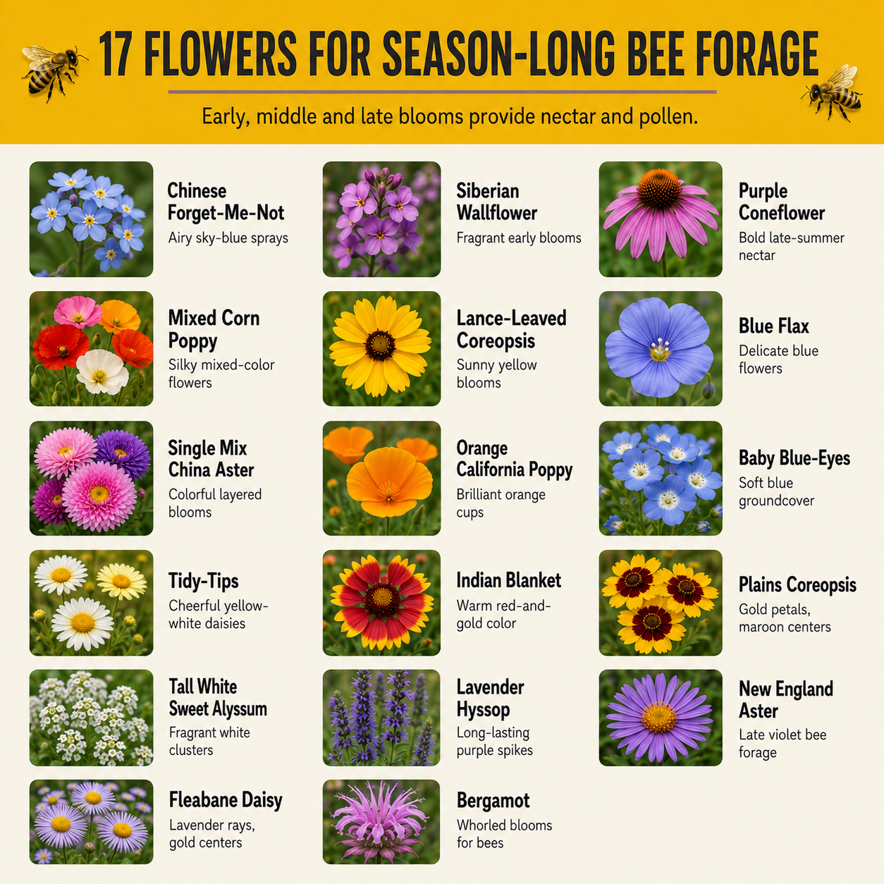 Bee Feed Flower Chart