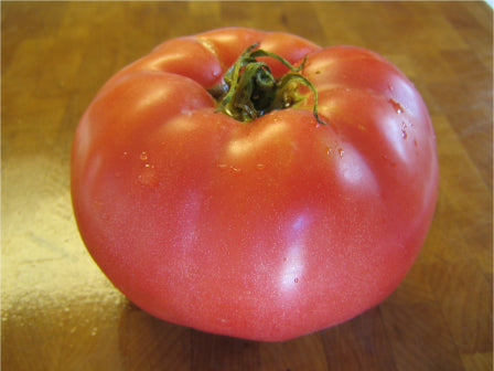 Red Beefsteak, Tomato Seeds