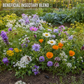 Beneficial Insectary Blend Wildflower