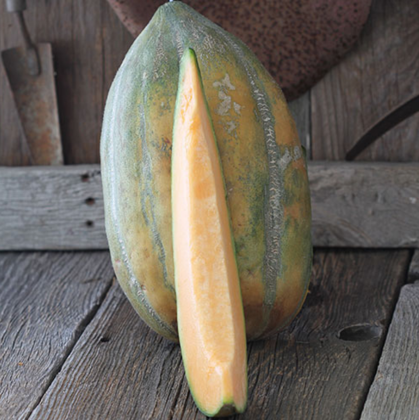 Bidwell Casaba, Melon Seeds
