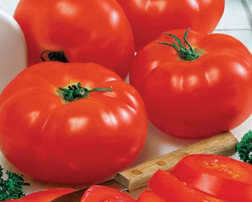 Big Beef, (F1) Tomato Seeds