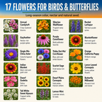 Bird and Butterfly Mix Flower Chart