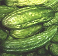 Tai Guo, Gourd Seeds