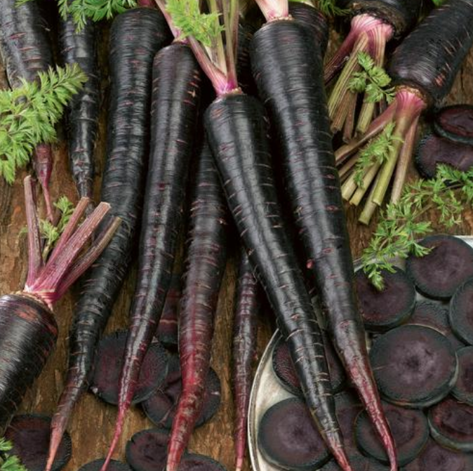 Black Nebula, Carrot Seeds