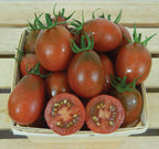 Black Plum, Tomato Seeds