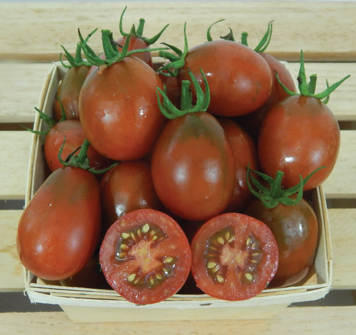 Black Plum, Tomato Seeds