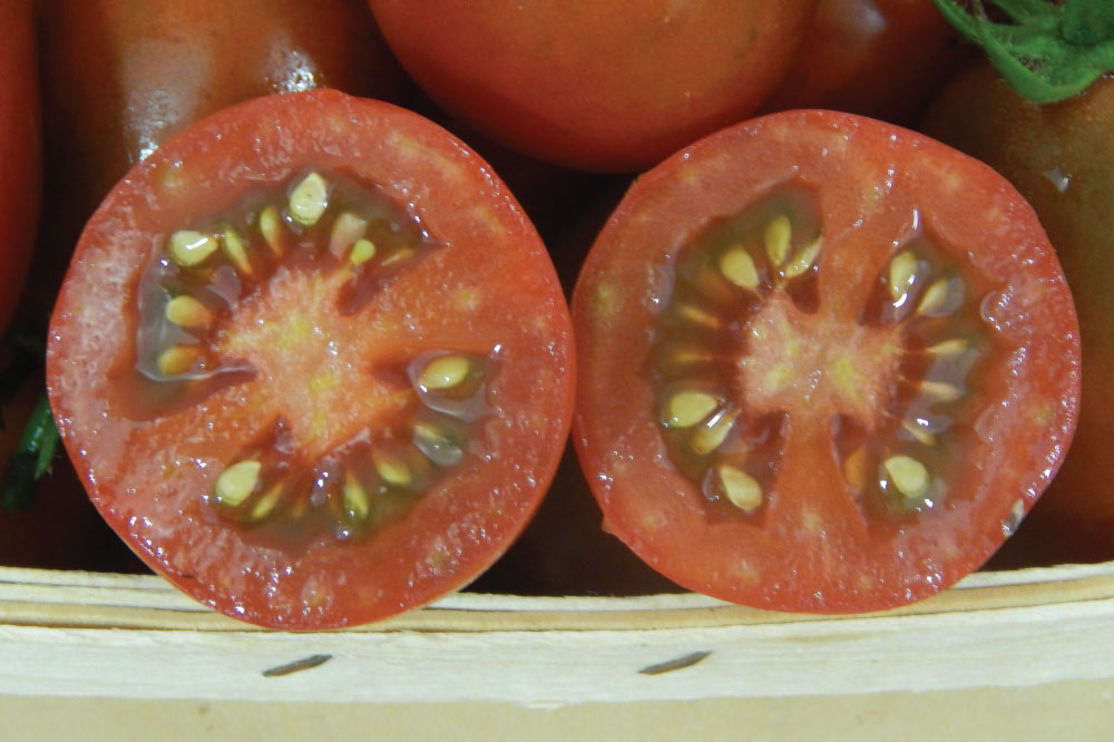Black Plum, Tomato Seeds