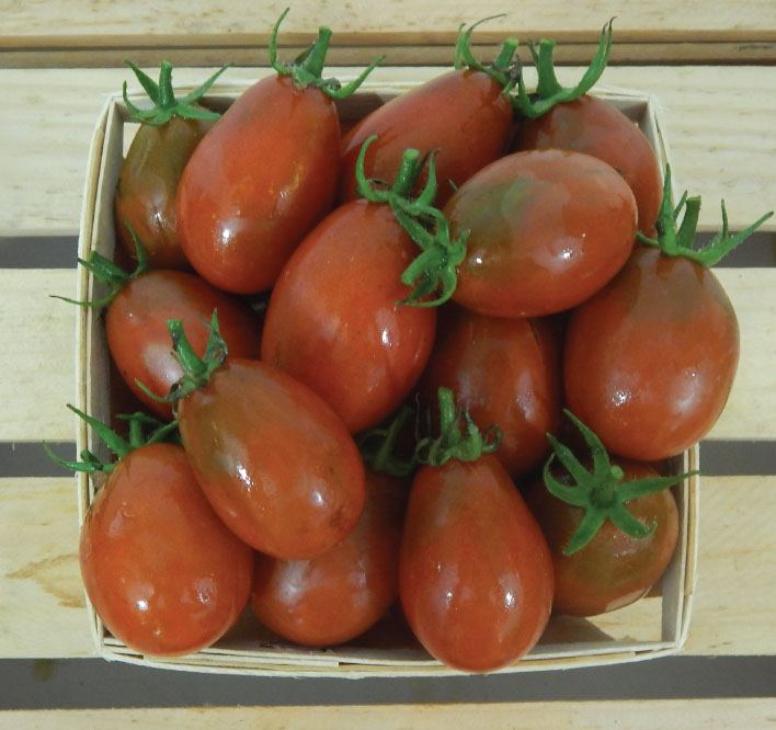 Black Plum, Tomato Seeds