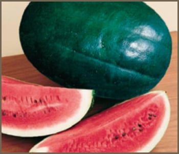 Black Diamond, Watermelon Seeds