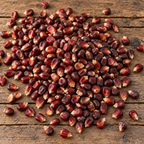 Bloody Butcher, Corn Seed