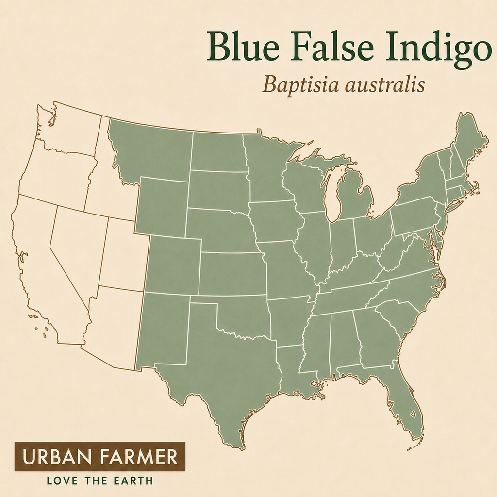 Blue False Indigo native map