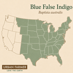 Blue False Indigo native map