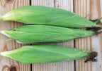 Bodacious, (F1) Corn Seed