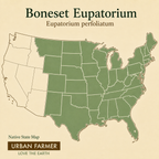 Boneset native map