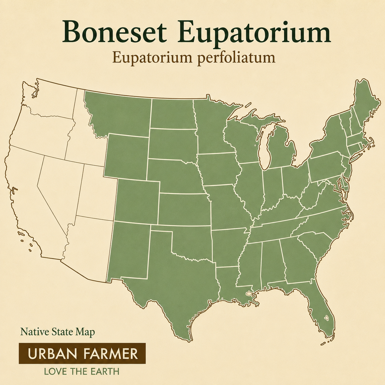 Boneset native map