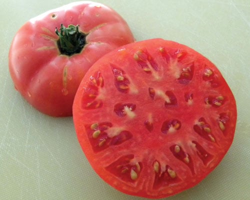 Sudduth's Strain Brandywine, Tomato Seeds
