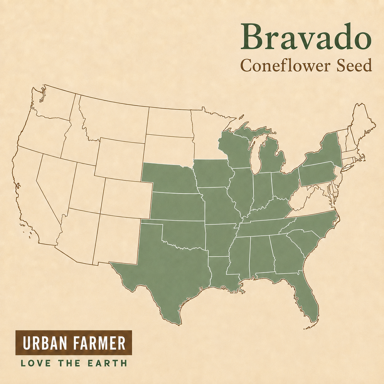 Bravado, Coneflower Seed