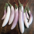 Bride, (F1) Eggplant Seeds