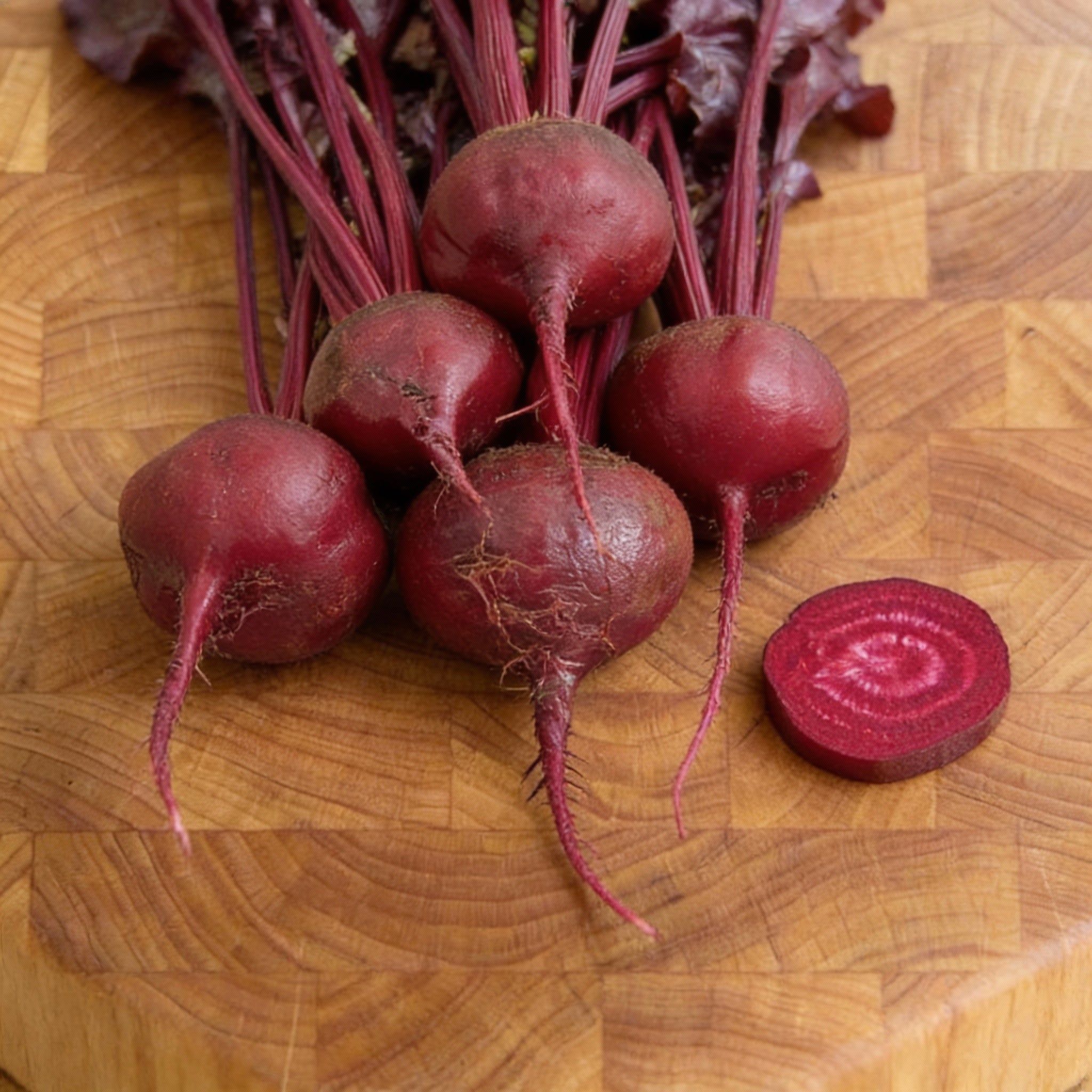 Bulls Blood, Beet Seeds