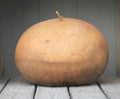 Bushel, Gourd Seeds
