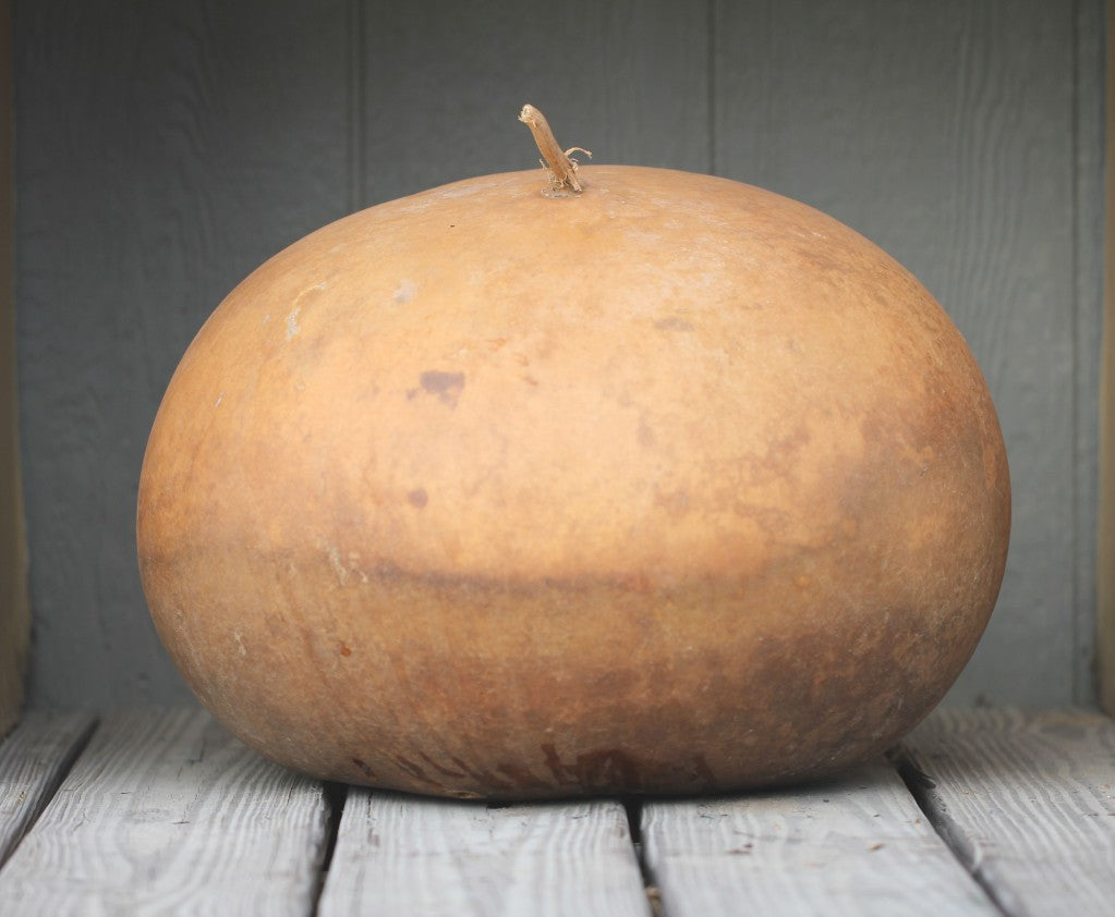 Bushel, Gourd Seeds