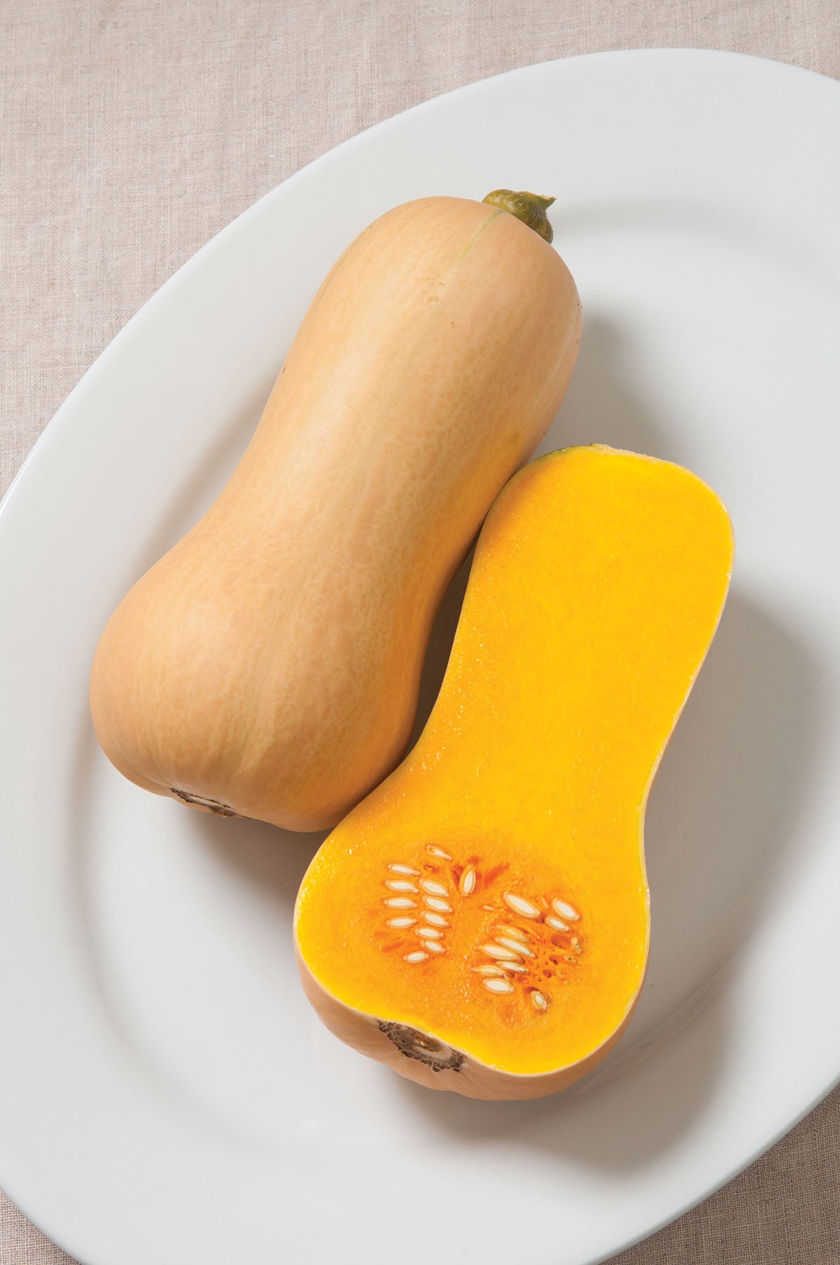 Butterscotch PMR, (F1) Squash Seeds